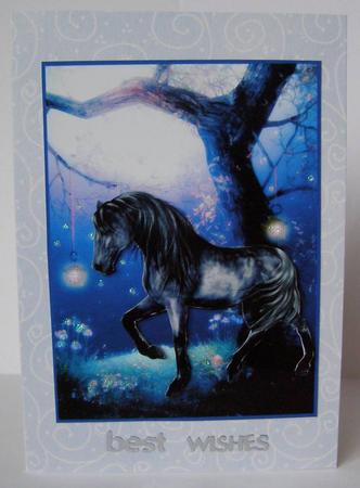 Beauty of the Night by Margaret McCartney
