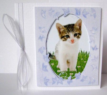 Tabby Kitten in the Daises Blue Ivy Leaf Frames & 8 x Tags by Margaret McCartney