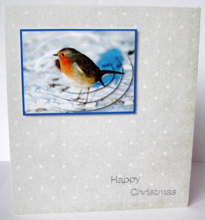 The Robin by Margaret McCartney