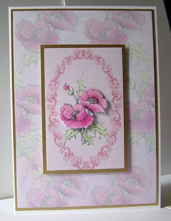 Pink Poppies Vellum by Margaret McCartney