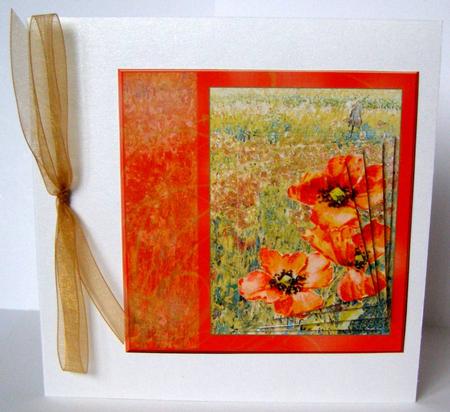 Poppy Field by Margaret McCartney