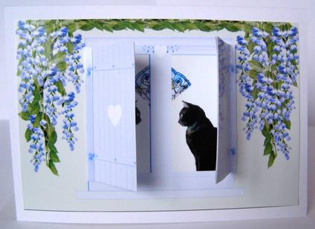 Black Cats Wisteria & Open & Shut Window Shutters Card by Margaret McCartney