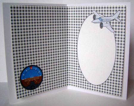 Plane Insert (plaid) by Margaret McCartney