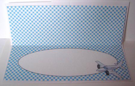 Plane Insert for Large Dl 2 by Margaret McCartney