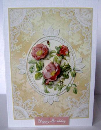 Hedgerow Rose by Margaret McCartney