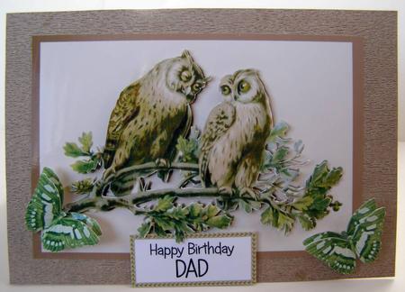 Gorgeous Owls in Frame by Margaret McCartney