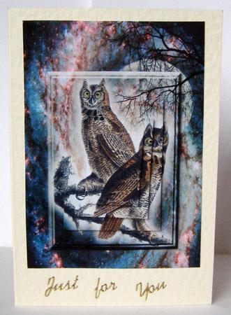 Vintage Birds 8.3, Great Horned Owl by Margaret McCartney