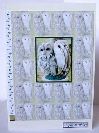 Owls Pyramid with Background by Margaret McCartney