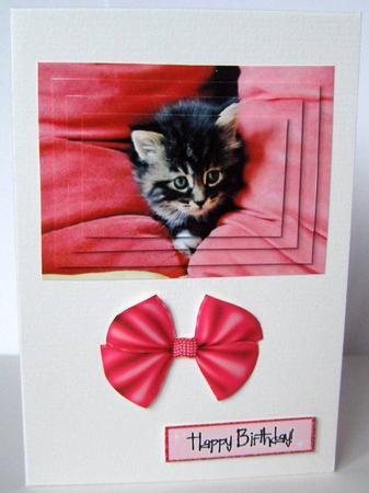 Cute Little Kitten, Pyramids by Margaret McCartney