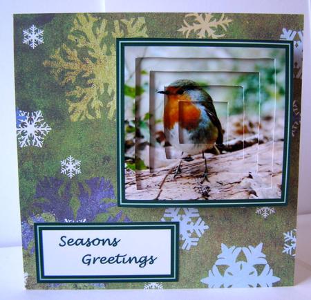 Robin Tunnel Sheet by Margaret McCartney