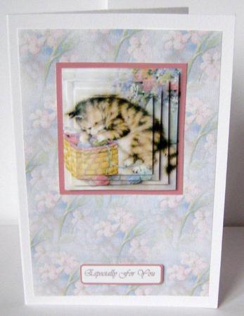Naughty Kitty by Margaret McCartney