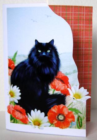 Black Cat - Poppies & Daisies Cut Out & Over the Side Card by Margaret McCartney