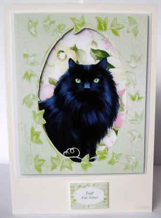 Lucky Black Cat 2 x Ivy Leaf Frames & 8 x Sentiments by Margaret McCartney