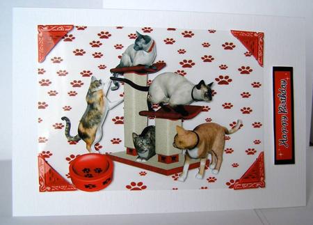 Playful Cats, Lots of Little Kitties by Margaret McCartney