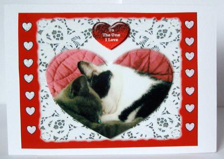 To the One I Love Cats - I Need a Hug - Decoupage Card by Margaret McCartney