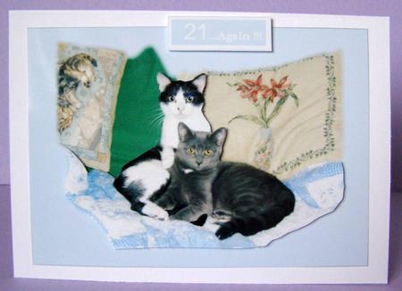 Kitty Cats Surprise - with Sentiments - Decoupage Card by Margaret McCartney