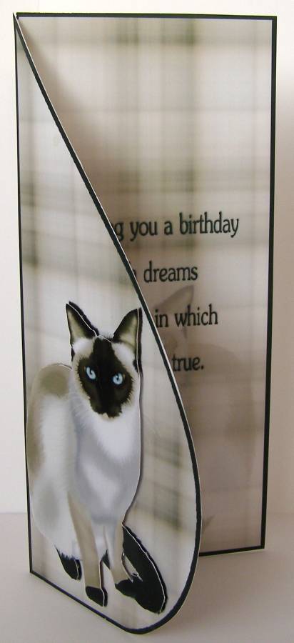 Sealpoint Cat Teardrop by Margaret McCartney