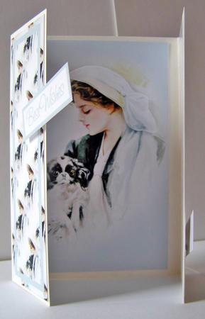 Elegant Lady in Blue Gatefold by Margaret McCartney