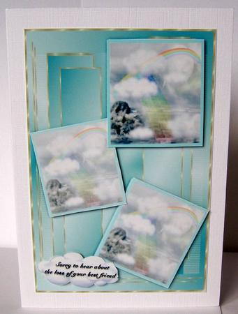 Pets Rainbow Bridge by Margaret McCartney