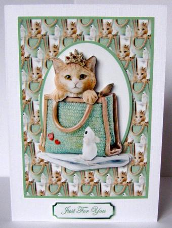 Cat-bag by Margaret McCartney