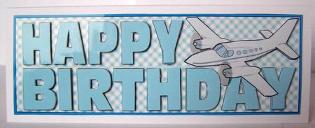 Happy Birthday with Plane Large Dl by Margaret McCartney