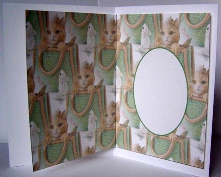 Catbag Insert by Margaret McCartney