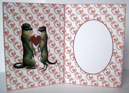 Meerkat Love Insert by Margaret McCartney