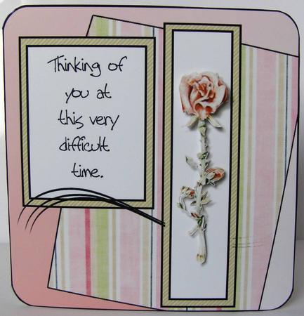 Sympathy and Roses by Margaret McCartney