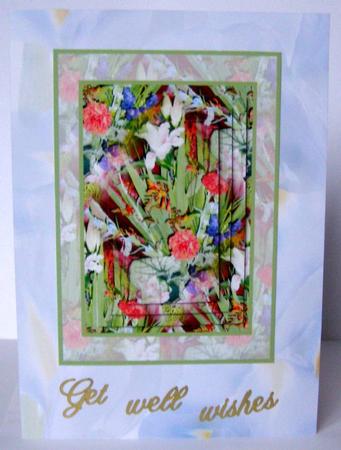 Flowerbed by Margaret McCartney