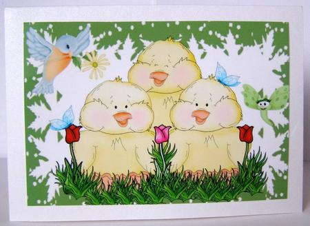 Cute Little Chicks, A4 Topper by Margaret McCartney