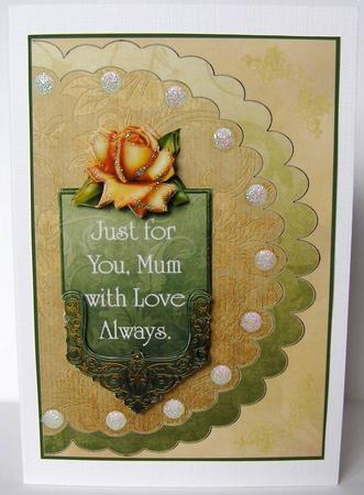 Amber Roses Just for You by Margaret McCartney