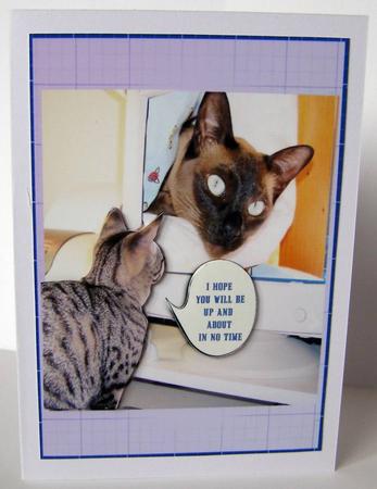 Catty 24 by Margaret McCartney