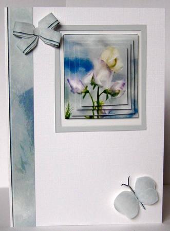 Sweet Peas by Margaret McCartney