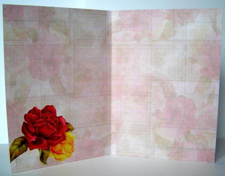 Roses Insert by Margaret McCartney