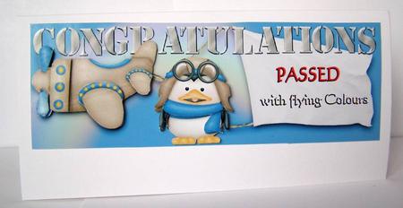 Passed with Flying Colours by Margaret McCartney