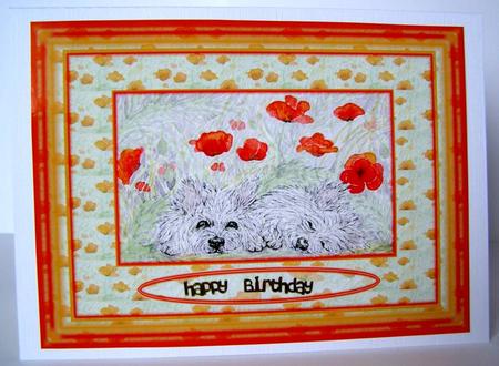 West Highland Terrier Dogs Sleeping in the Poppies by Margaret McCartney