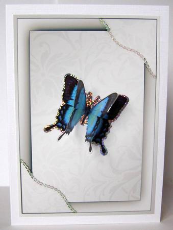 Stand-out Framed Card Front - Silver Grey by Margaret McCartney