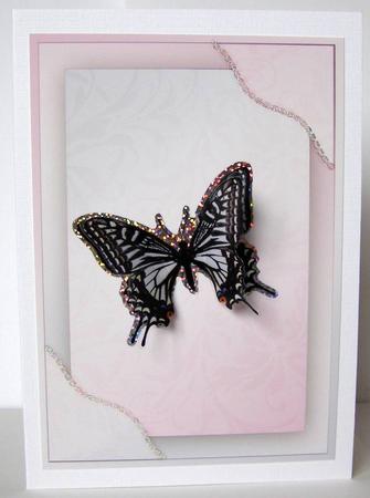 Stand-out Framed Card Front - Pink by Margaret McCartney