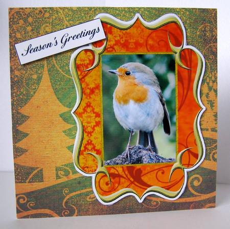 Christmas Bobby Robin2 Fancy Bracket Card by Margaret McCartney
