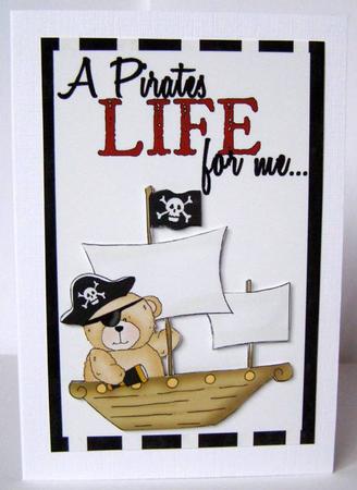 A Pirates Life by Margaret McCartney