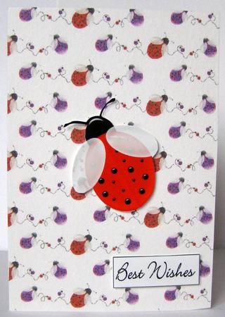 Ladybird Ladybird Backing Paper by Margaret McCartney