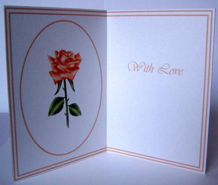 Rose Insert 2 by Margaret McCartney