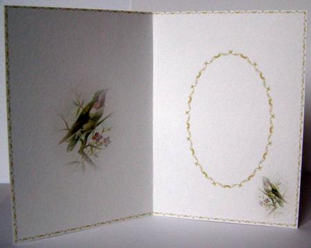 Bird Insert 1 by Margaret McCartney