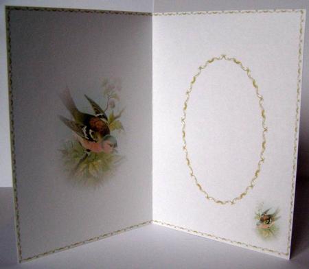 Bird Insert 2 by Margaret McCartney