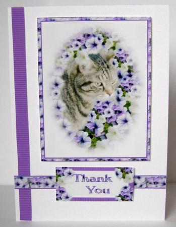 In Amongst the Flowers by Margaret McCartney