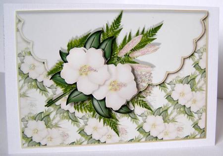 Hibiscus Scalloped Edge Envelope Card by Margaret McCartney