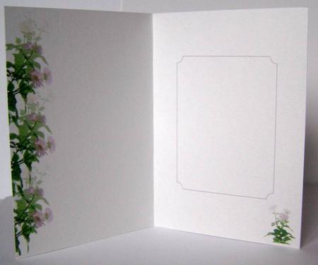 Floral Insert 83 by Margaret McCartney