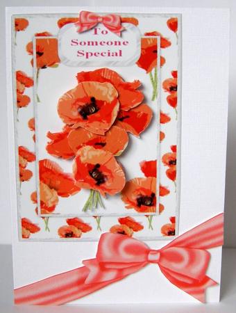 Poppies Step by Step by Margaret McCartney