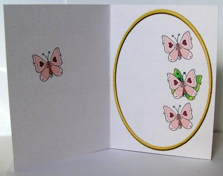 Butterfly Insert Pink by Margaret McCartney