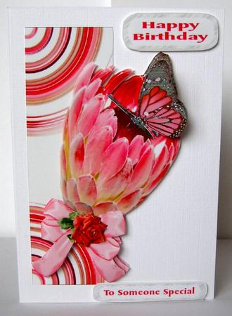 Protea - a Vision in Pink by Margaret McCartney